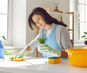 Ofis alanında ULV cihazıyla dezenfeksiyon uygulaması